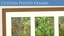 multi photo framing multi photo framing